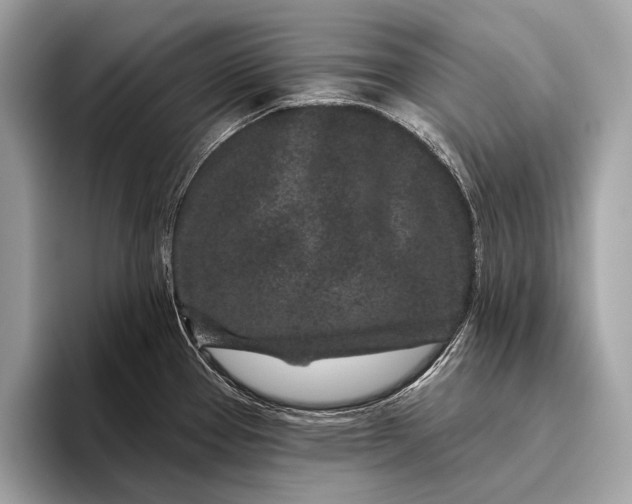 X0000095921337200801251022