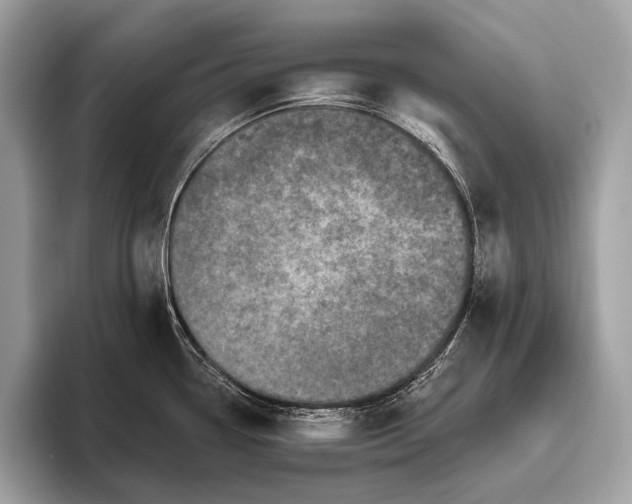 X0000095921338200801251022