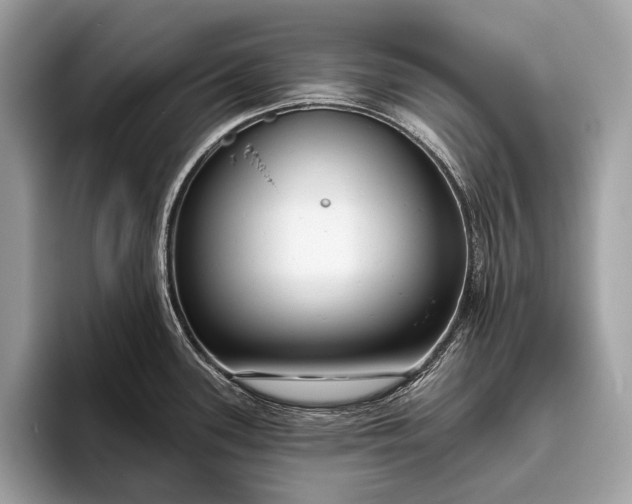 X0000095921339200801251022