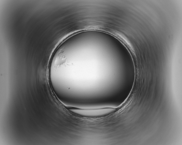 X0000095921340200801251022