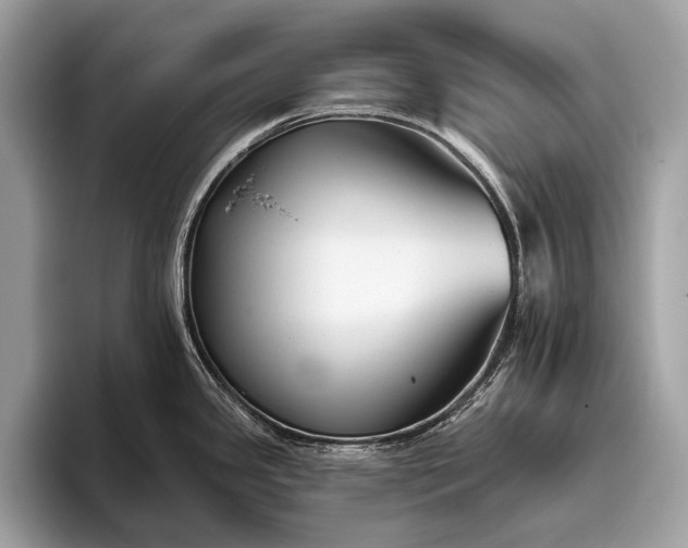 X0000095921341200801251022