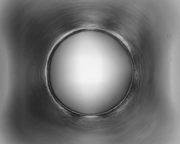 X0000095921343200801251022