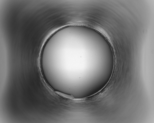 X0000095921344200801251022