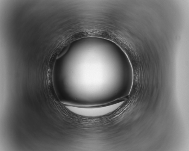 X0000095921346200801251022