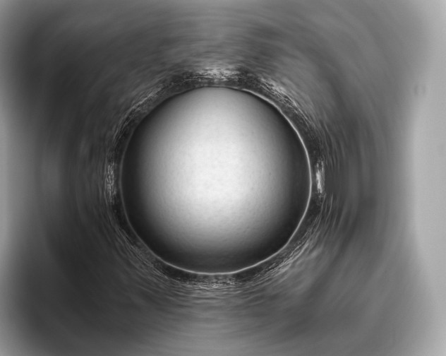 X0000095921347200801251022