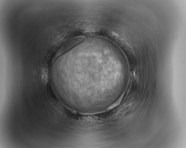 X0000095921348200801251021