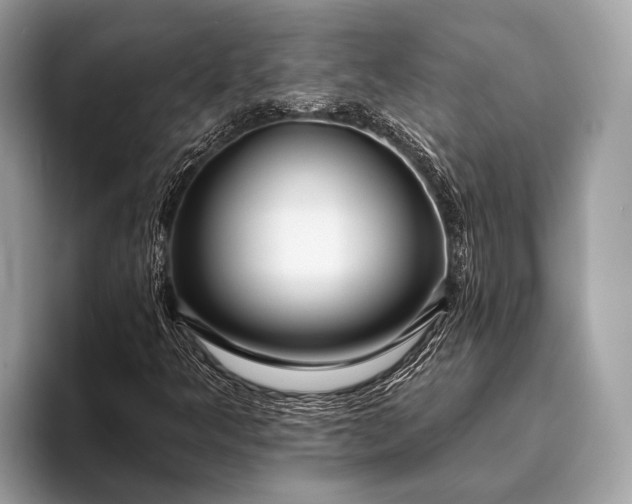 X0000095921349200801251021