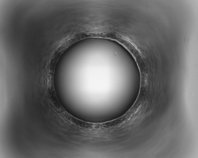 X0000095921350200801251021