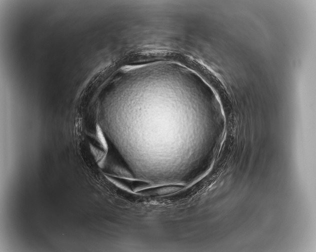 X0000095921351200801251021