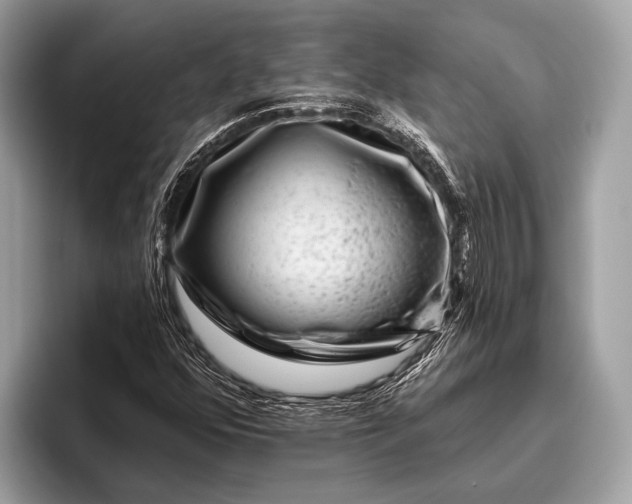 X0000095921352200801251021