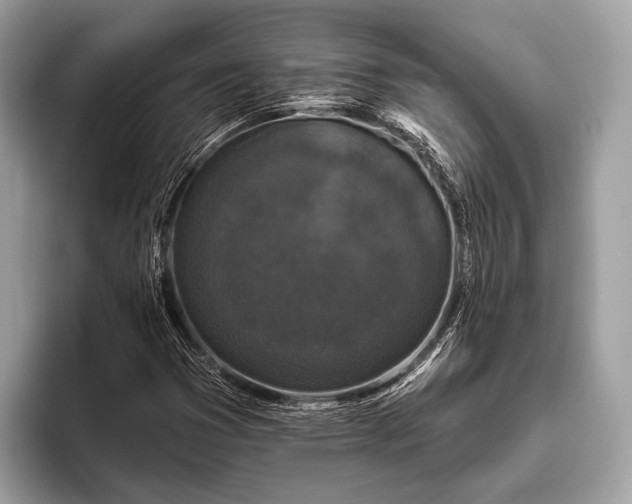 X0000095921353200801251021