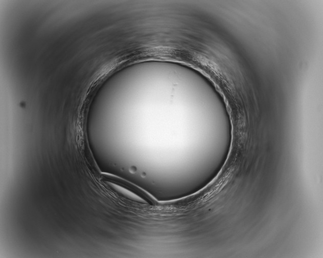 X0000095921354200801251021