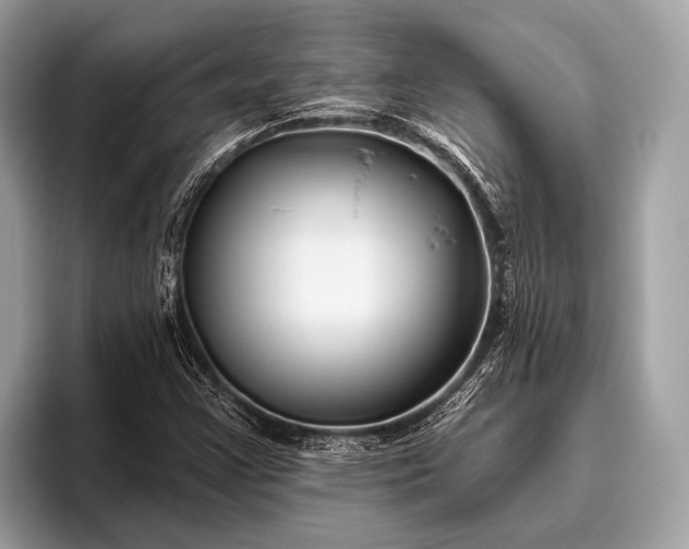 X0000095921355200801251021