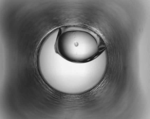 X0000095921356200801251021