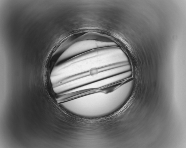 X0000095921357200801251021