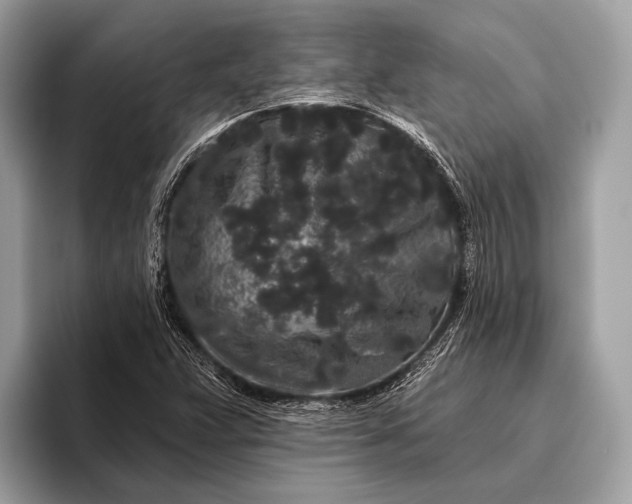 X0000095921359200801251021