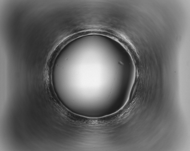 X0000095921360200801251021