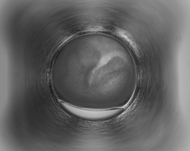 X0000095921361200801251021