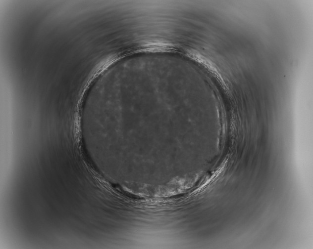 X0000095921362200801251021