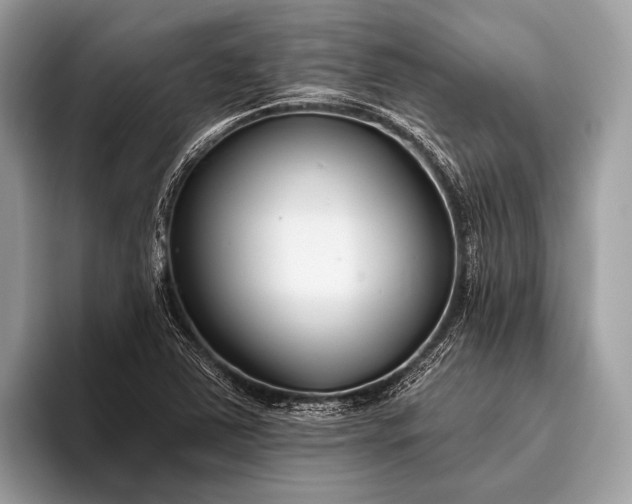 X0000095921363200801251021