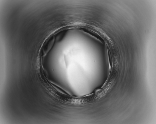 X0000095921364200801251021