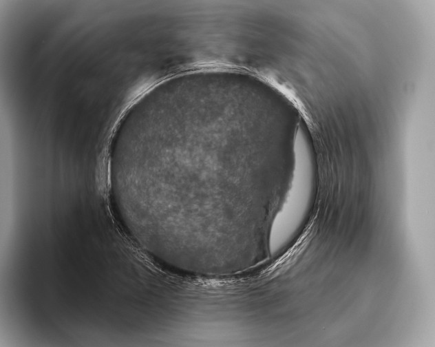 X0000095921365200801251021