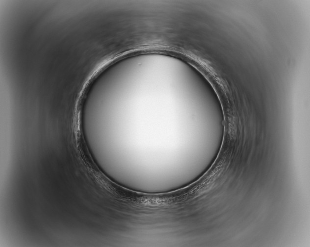 X0000095921366200801251021