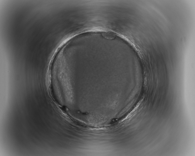 X0000095921367200801251021