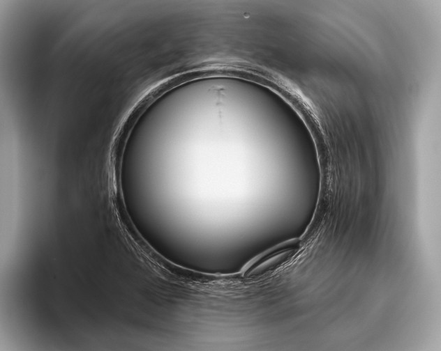 X0000095921368200801251021