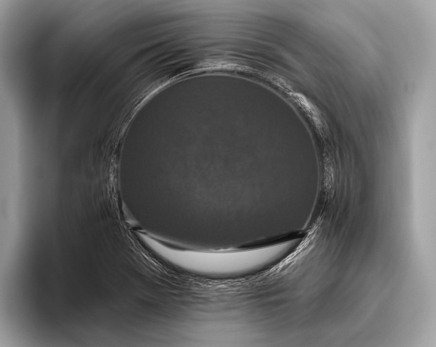 X0000095921369200801251021