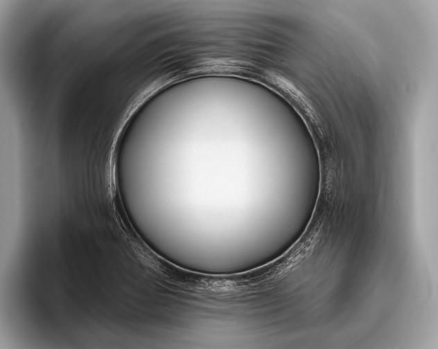 X0000095921370200801251021