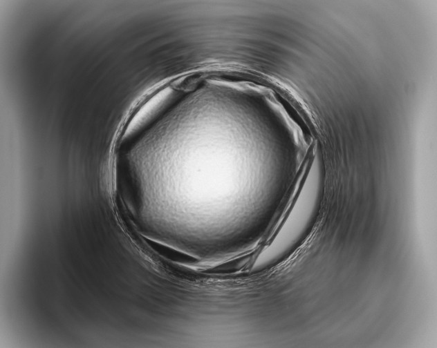 X0000095921371200801251021