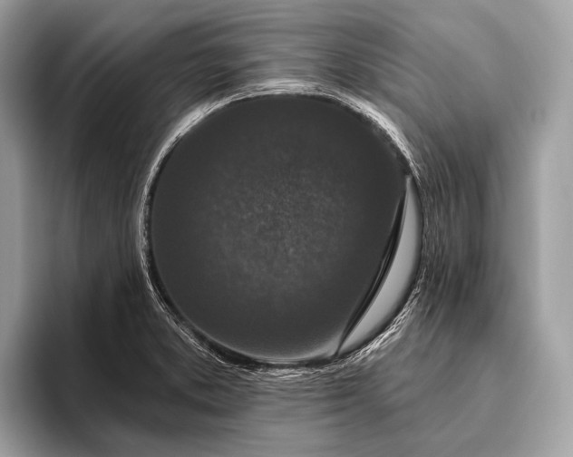 X0000095921373200801251021