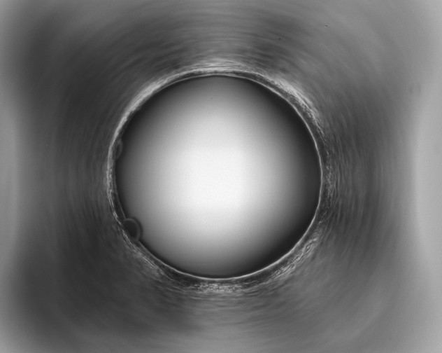 X0000095921374200801251021