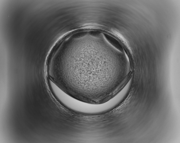 X0000095921376200801251021