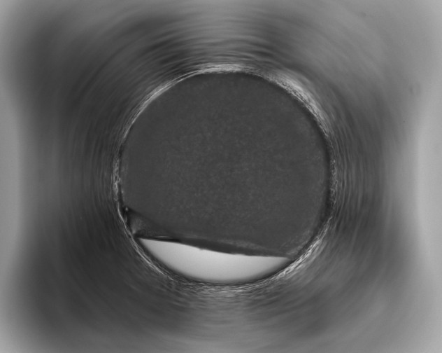 X0000095921377200801251021