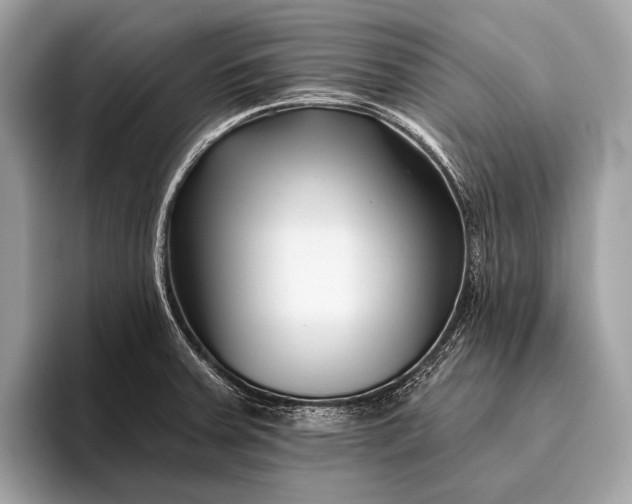 X0000095921379200801251021