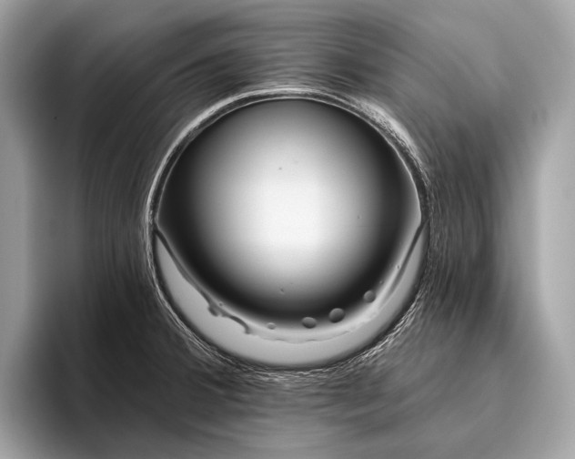 X0000095921380200801251021