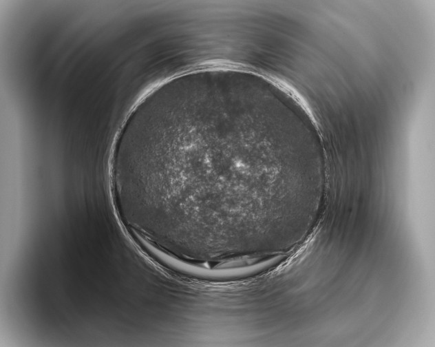 X0000095921381200801251021