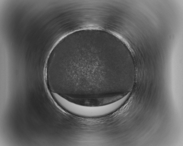 X0000095921383200801251021