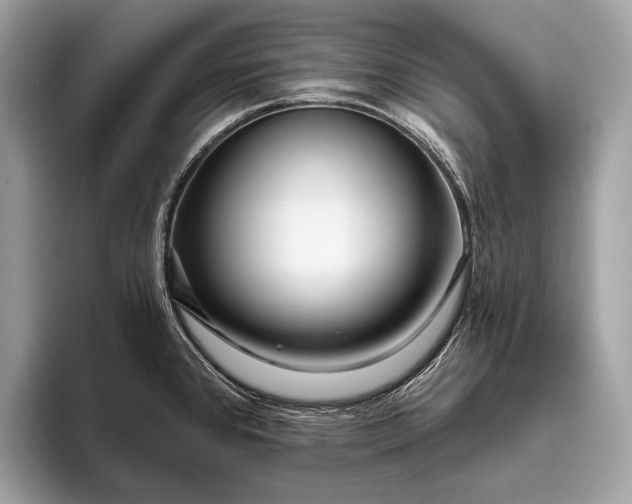 X0000095921384200801251021