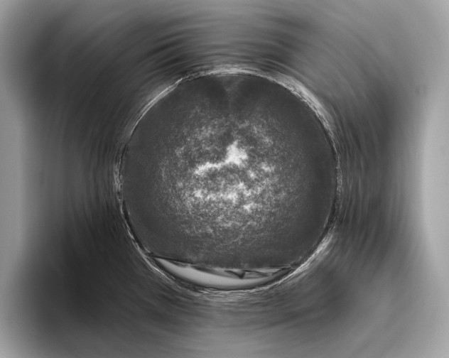 X0000095921385200801251021