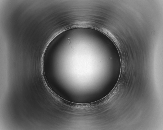 X0000095921386200801251021