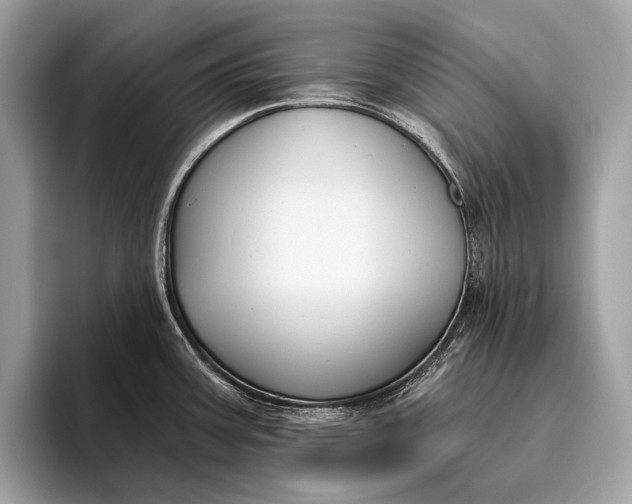 X0000095921387200801251021