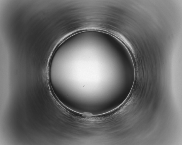 X0000095921388200801251021