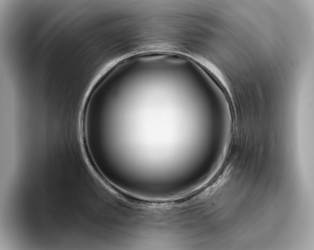 X0000095921389200801251021