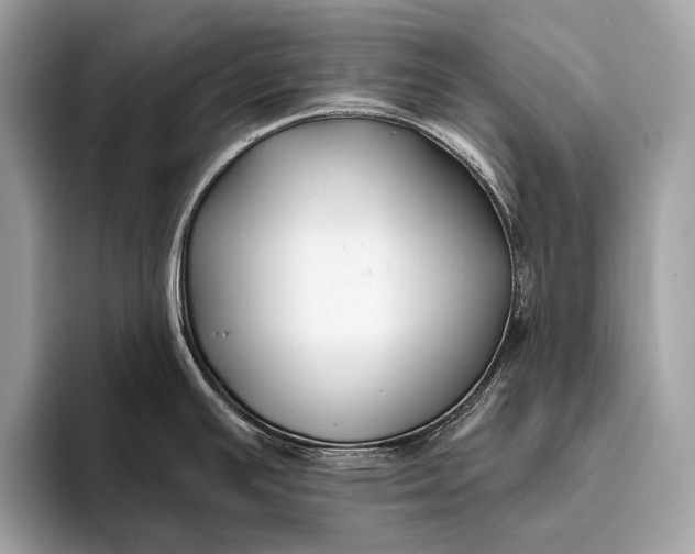 X0000095921391200801251021