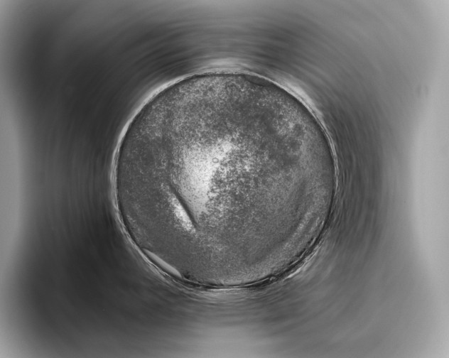 X0000095921392200801251021