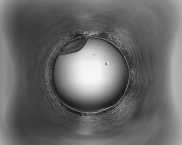 X0000095921393200801251020