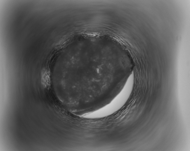 X0000095921394200801251020